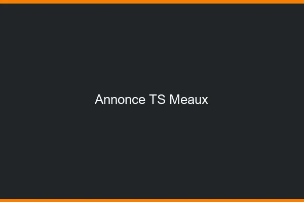 Annonce TS Meaux