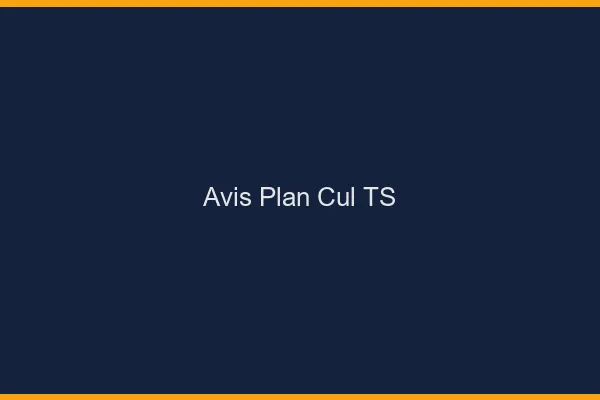 Avis plan cul TS