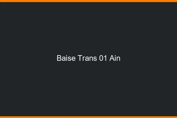 Baise trans 01 ain