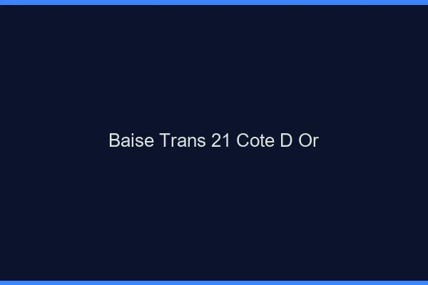 Baise trans 21 côte-d'or