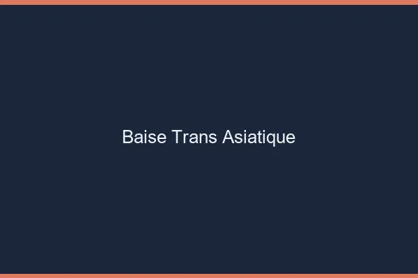 Baise trans asiatique