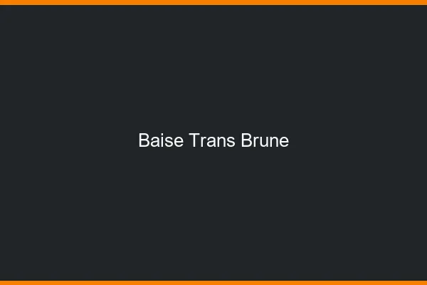 Baise trans brune