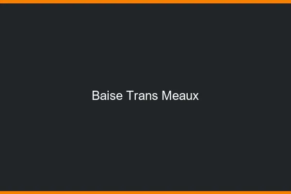 Baise trans Meaux