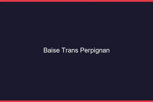 Baise trans Perpignan