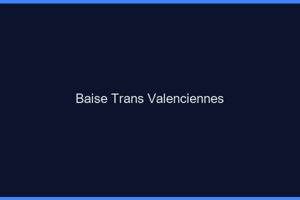 Baise trans Valenciennes