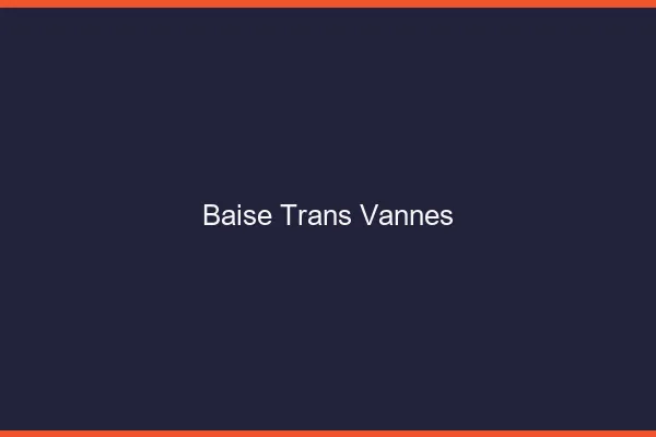 Baise trans Vannes