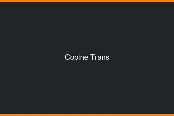 Copine trans
