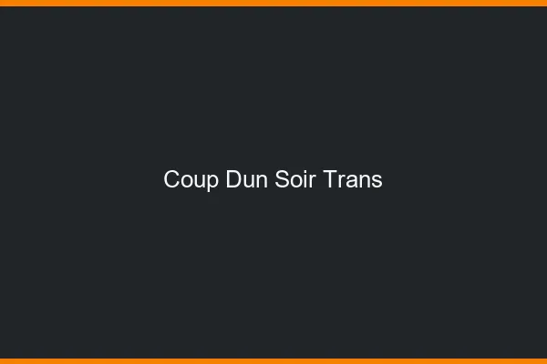 Coup d'un soir trans