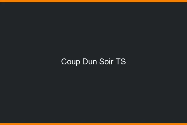 Coup d'un soir TS