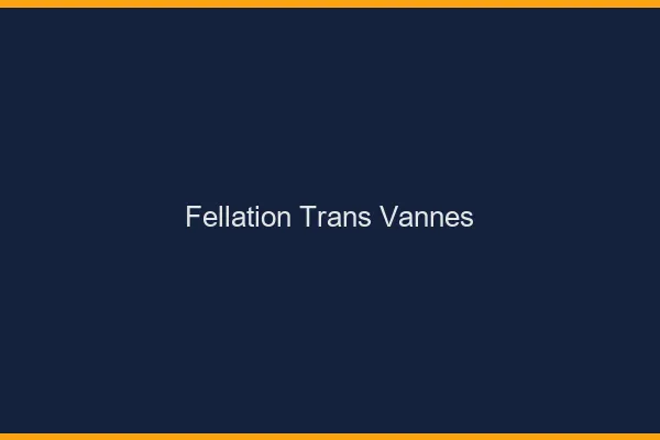 Fellation trans Vannes