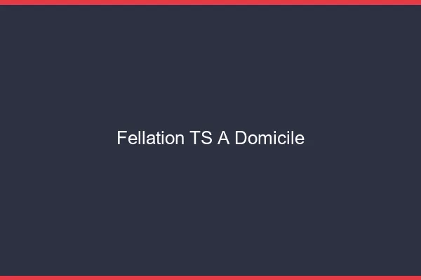 Fellation TS à domicile