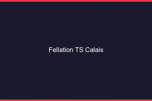 Fellation TS Calais