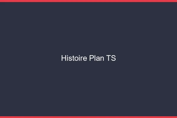 Histoire plan TS