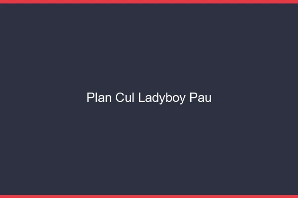 Plan cul ladyboy Pau