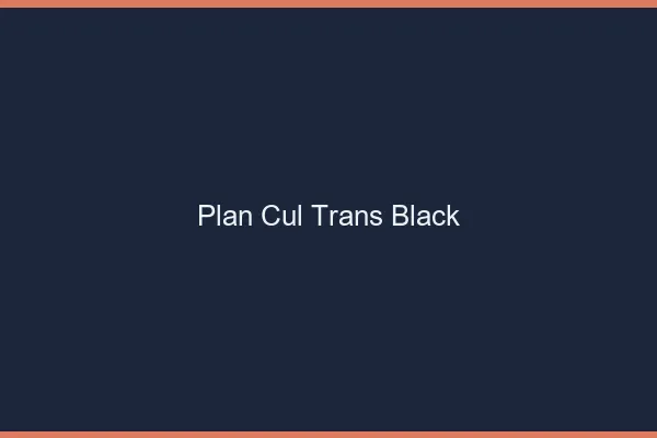 Plan cul trans black