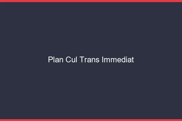 Plan cul trans immédiat