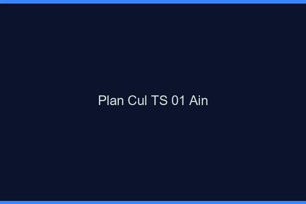 Plan cul TS 01 ain
