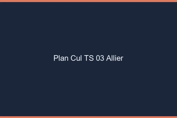 Plan cul TS 03 allier