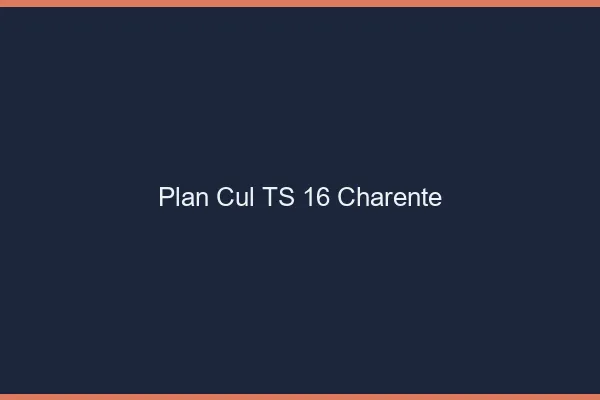 Plan cul TS 16 charente
