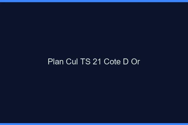 Plan cul TS 21 côte-d'or