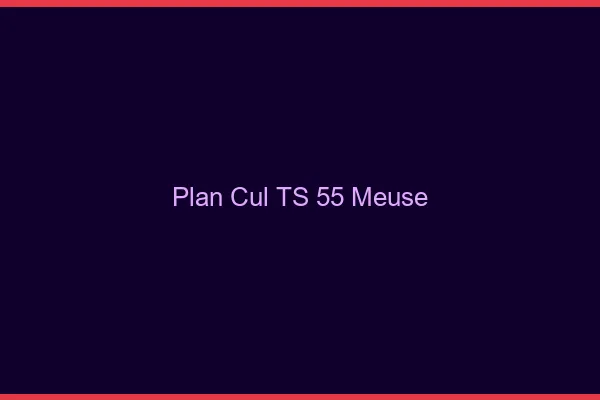 Plan cul TS 55 meuse