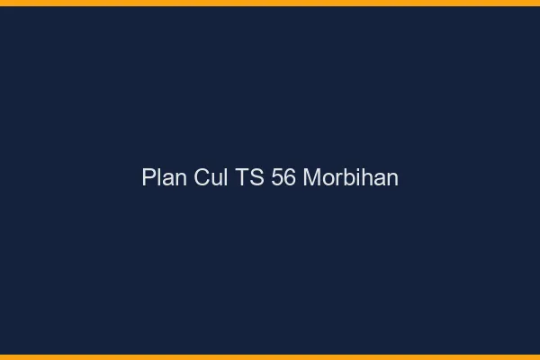 Plan cul TS 56 morbihan