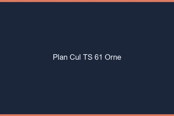 Plan cul TS 61 orne