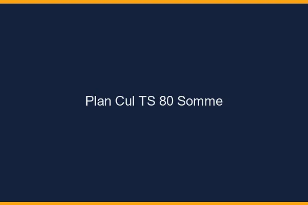 Plan cul TS 80 somme