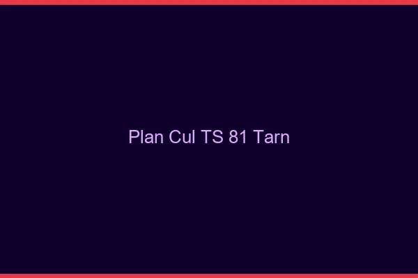 Plan cul TS 81 tarn