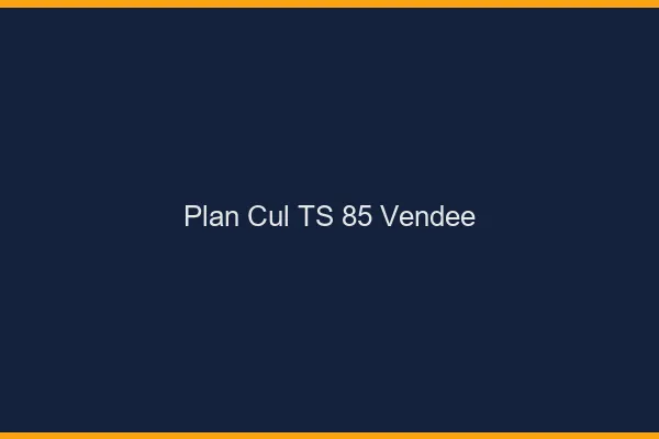 Plan cul TS 85 vendée
