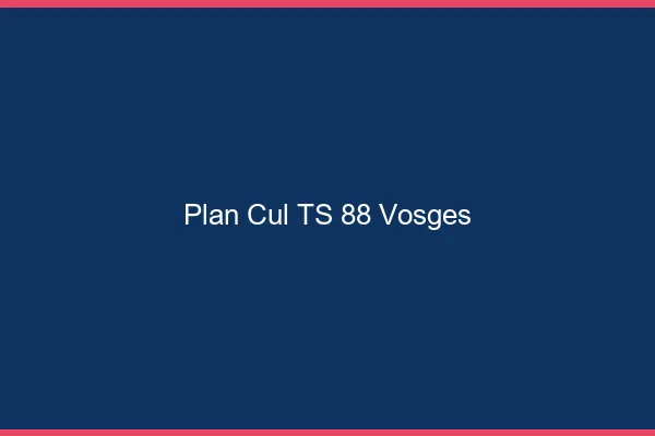 Plan cul TS 88 vosges