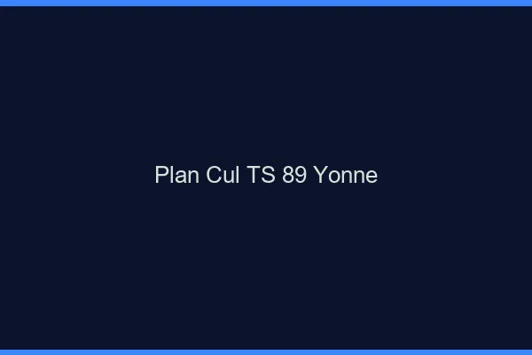 Plan cul TS 89 yonne