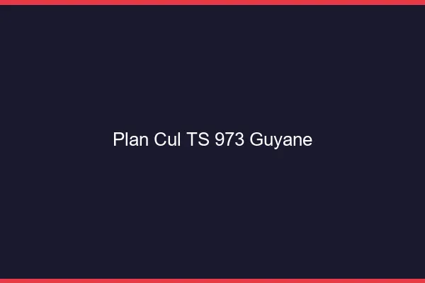 Plan cul TS 973 Guyane