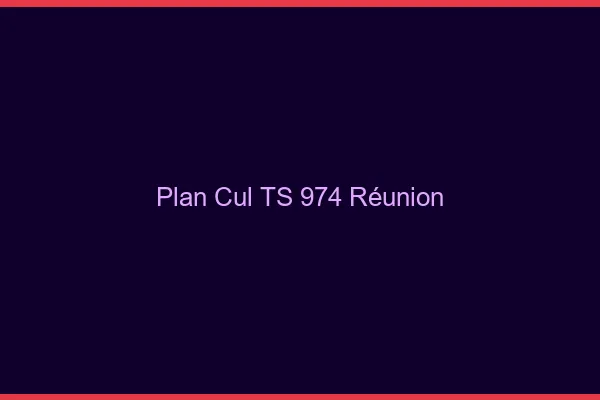 Plan cul TS 974 Réunion