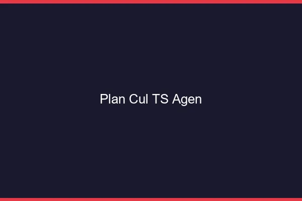 Plan cul TS Agen