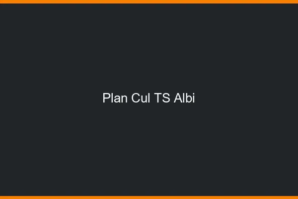 Plan cul TS Albi