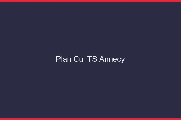 Plan cul TS Annecy