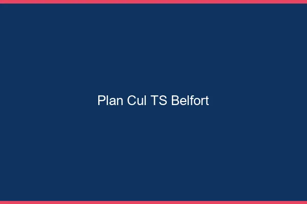 Plan cul TS Belfort