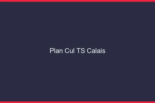 Plan cul TS Calais