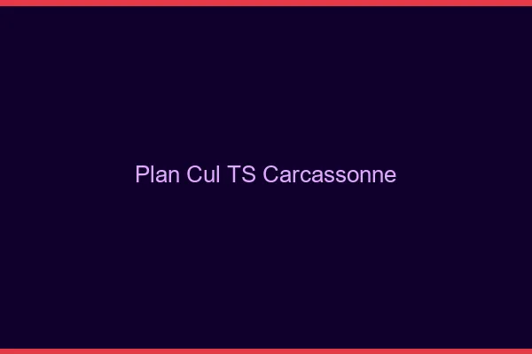 Plan cul TS Carcassonne
