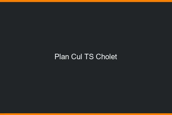 Plan cul TS Cholet