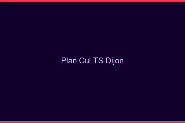 Plan cul TS Dijon