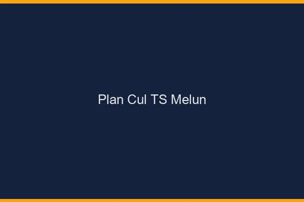 Plan cul TS Melun