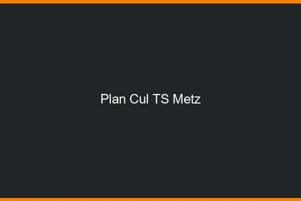 Plan cul TS Metz
