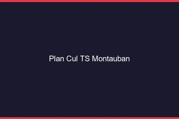 Plan cul TS Montauban