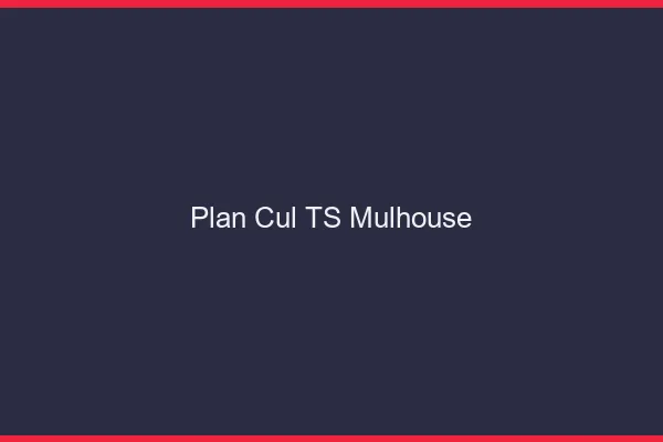 Plan cul TS Mulhouse