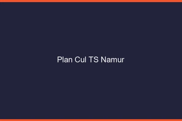 Plan cul TS Namur