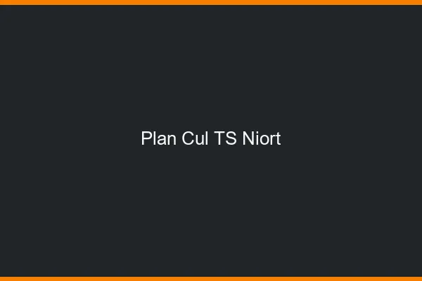 Plan cul TS Niort