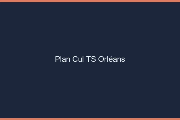 Plan cul TS Orléans