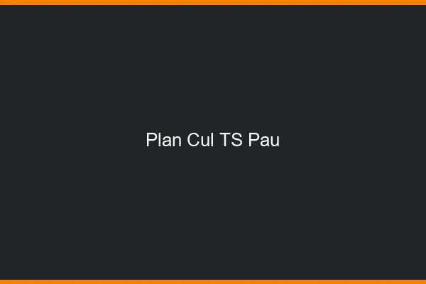 Plan cul TS Pau